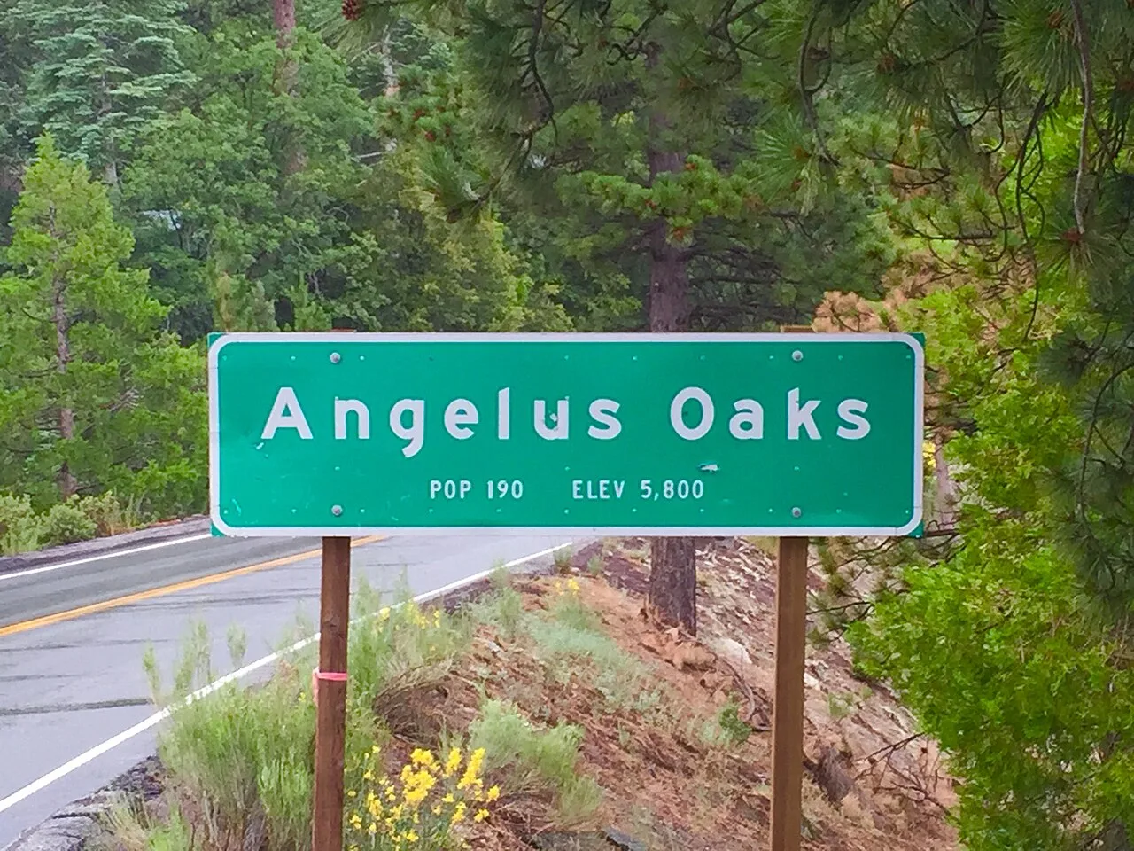 Angelus Oaks, California