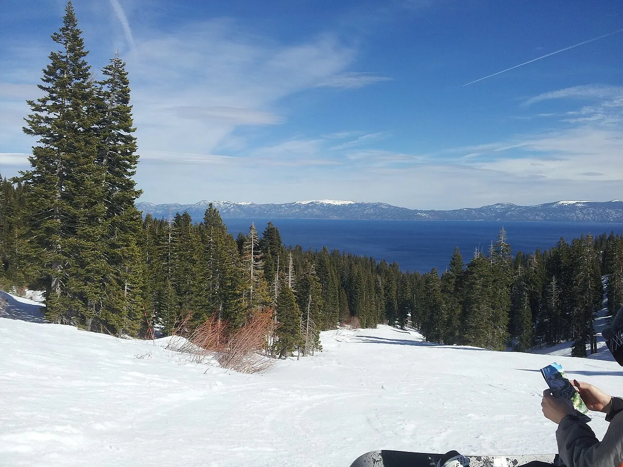 Homewood, California