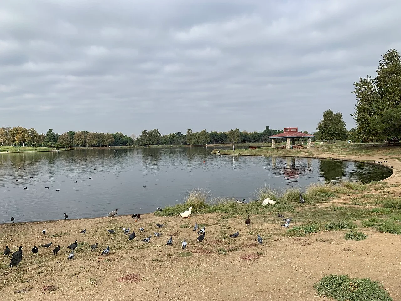 Lake Balboa, California