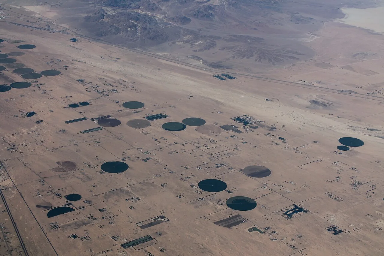 Newberry Springs, California