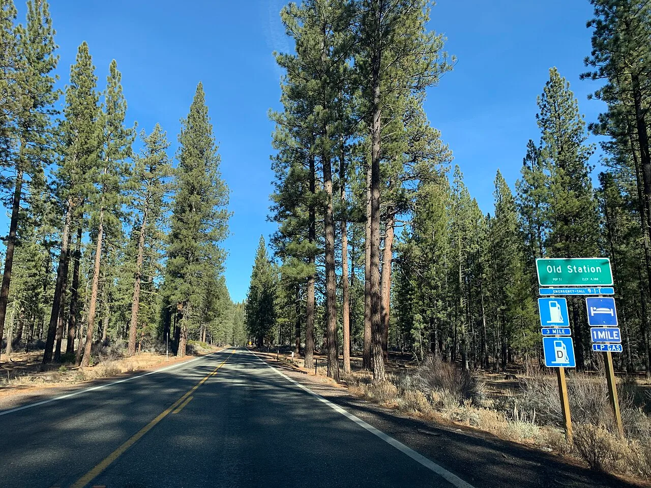 Old Station, California