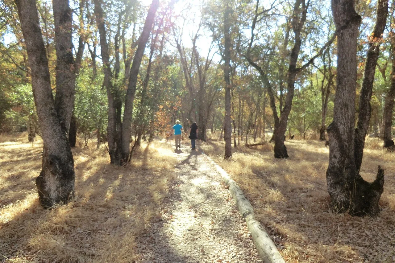 Orangevale, California