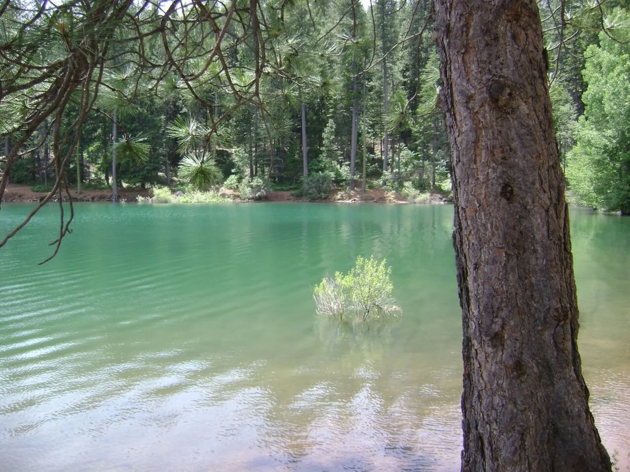 Pollock Pines, California