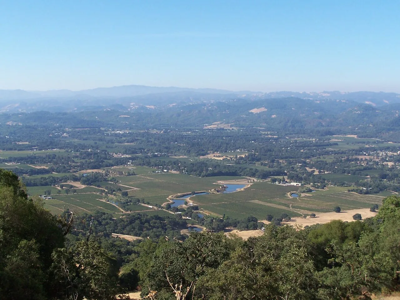 Redwood Valley, California