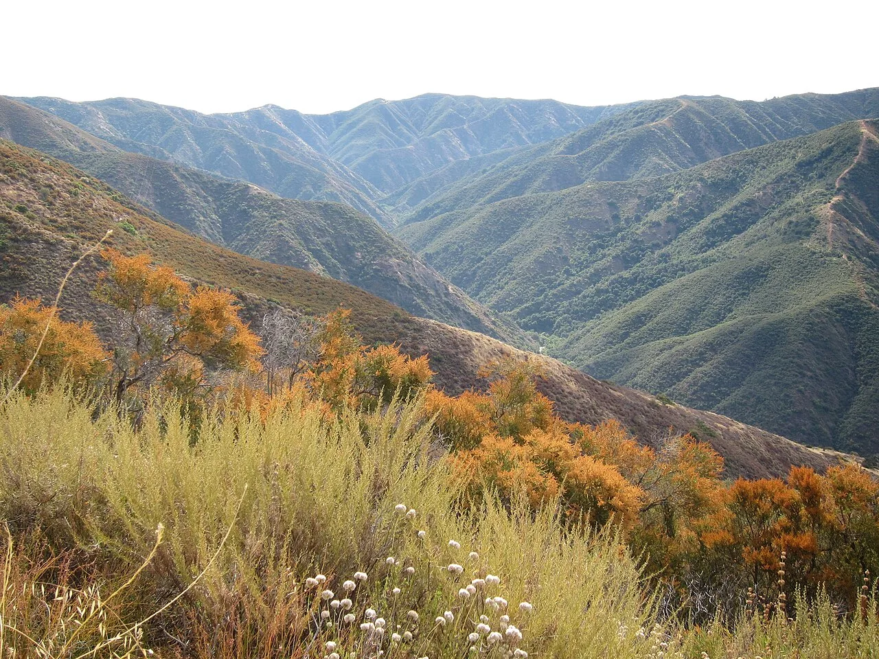 Silverado Canyon, California