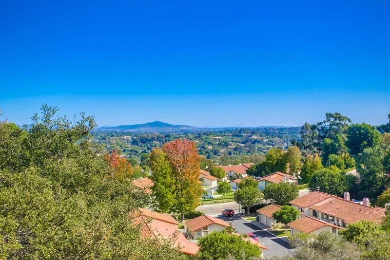 1842 Forestdale, Encinitas, CA 92024