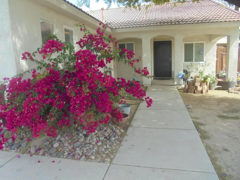 625 Rice, Blythe, CA 92225