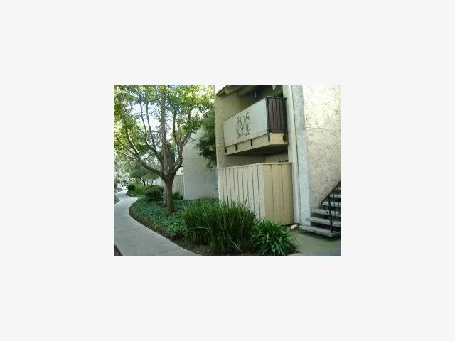 259 Capitol #105, San Jose, CA 95127