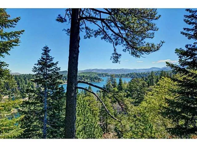 27354 N Bay, Lake Arrowhead, CA 92352