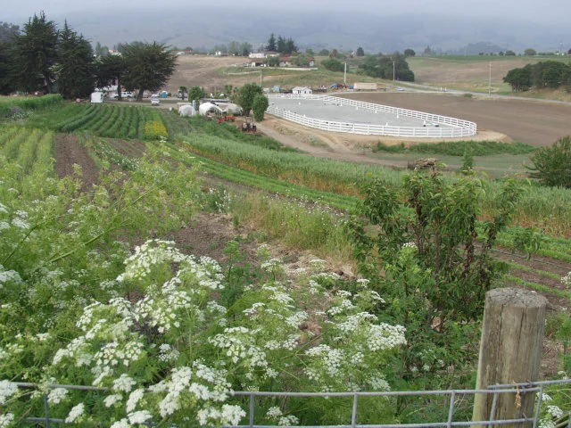 613 Lakeview, Watsonville, CA 95076