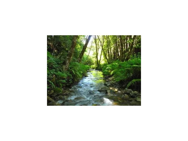 0 Bixby Canyon, Big Sur, CA 93920