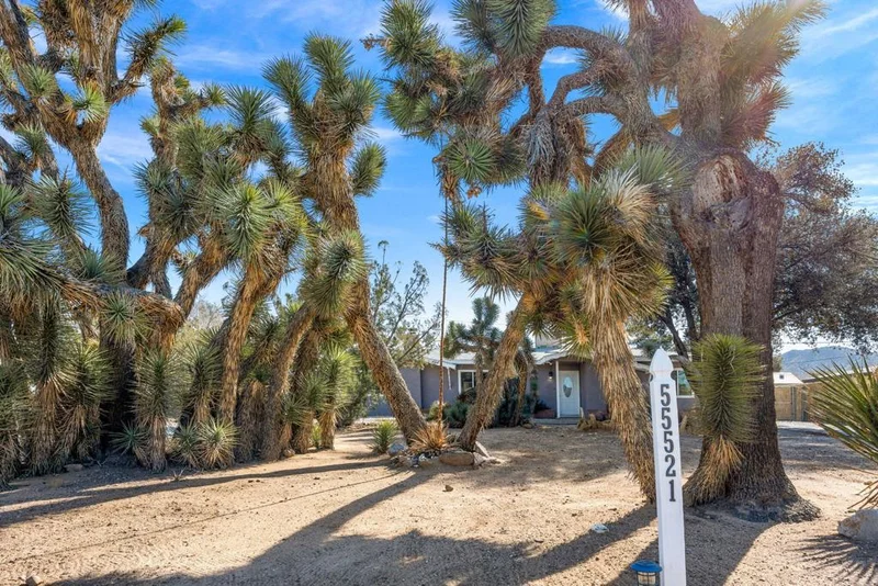 55521 Navajo, Yucca Valley, CA 92284
