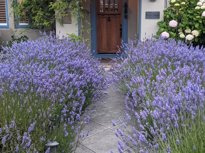 460 Poplar, Half Moon Bay, CA 94019