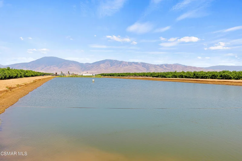 Sycamore, Arvin, CA 93203