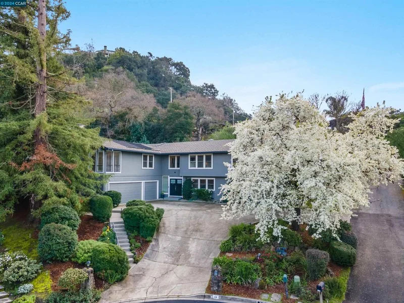 115 Bando Ct, Alamo, CA 94507