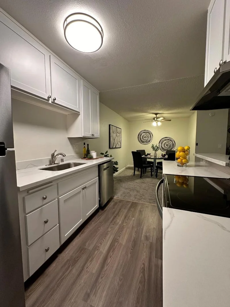 259 Capitol #290, San Jose, CA 95127