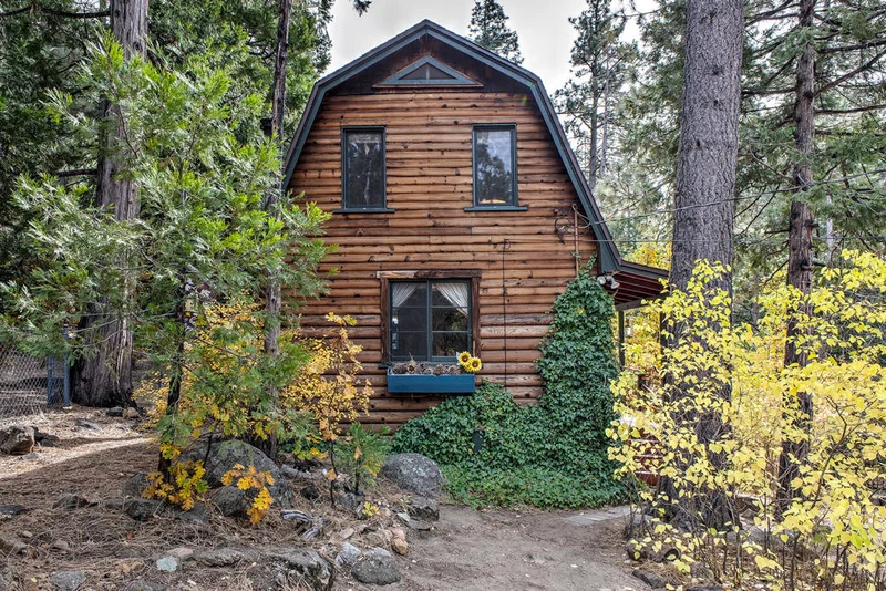 55265 Daryll Road, Idyllwild, CA 92549