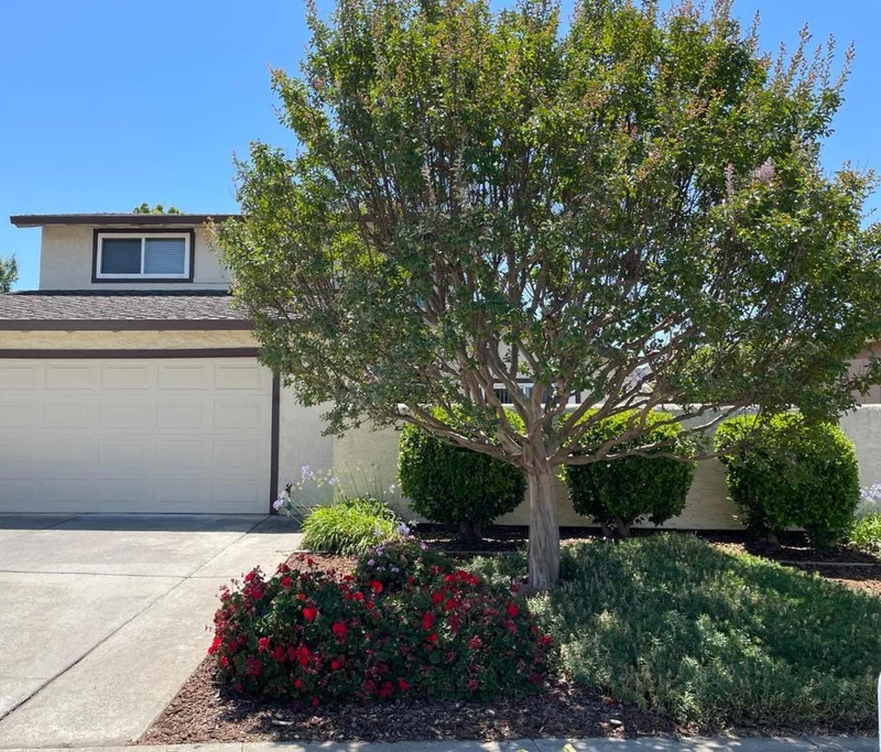 878 Calle De Verde, San Jose, CA 95136