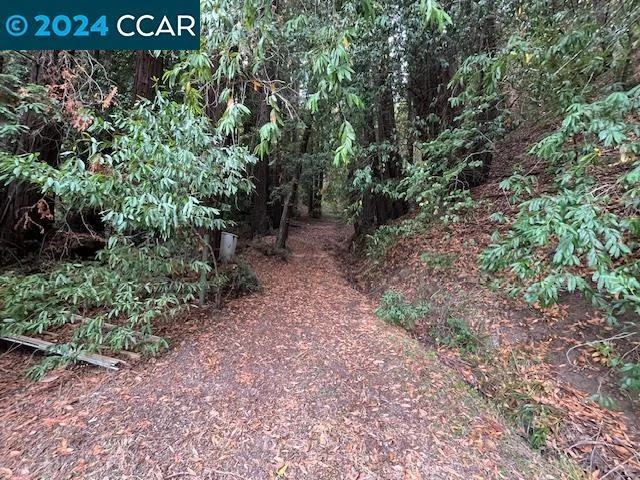 16631 Watson Road, Guerneville, CA 95446