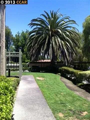 1851 Harrison #9, Concord, CA 94520-2311