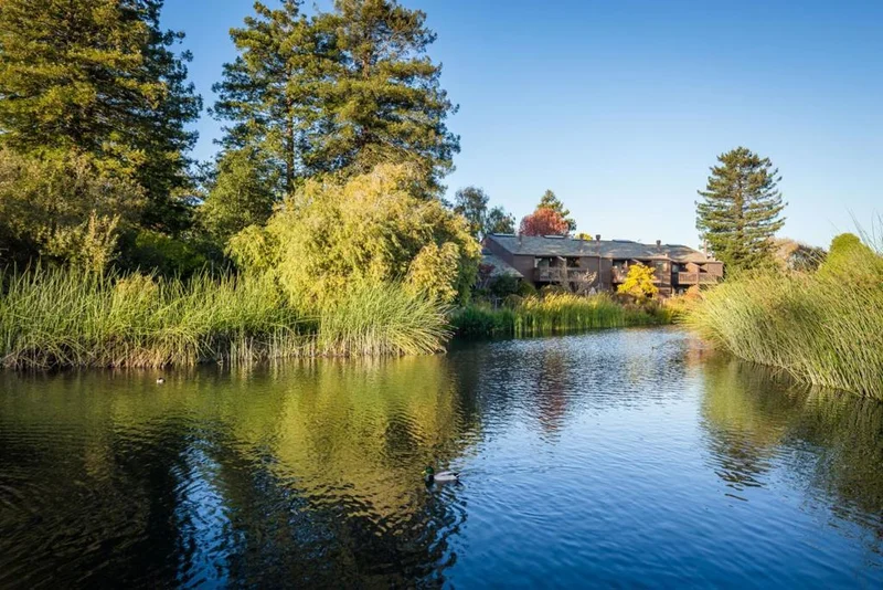 102 Shelter Lagoon, Santa Cruz, CA 95060