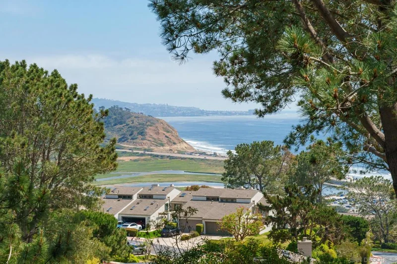 456 Hidden Pines, Del Mar, CA 92014