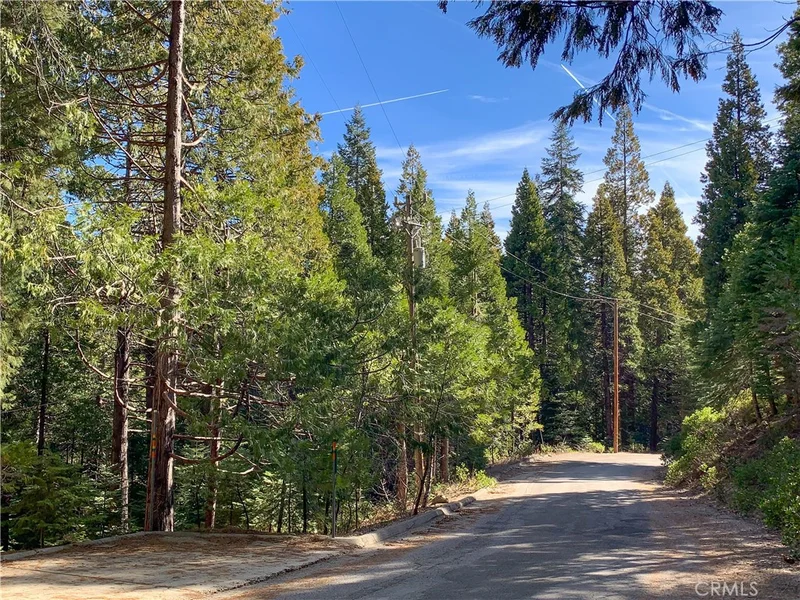 7653 Forest Drive, Fish Camp, CA 93623