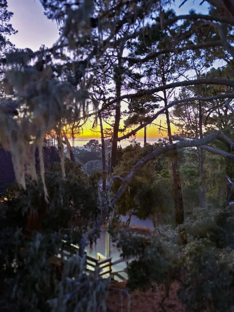 1148 Patterson Lane, Pacific Grove, CA 93950