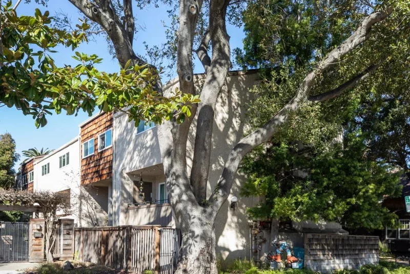 459 Homer Avenue 7, Palo Alto, CA 94301