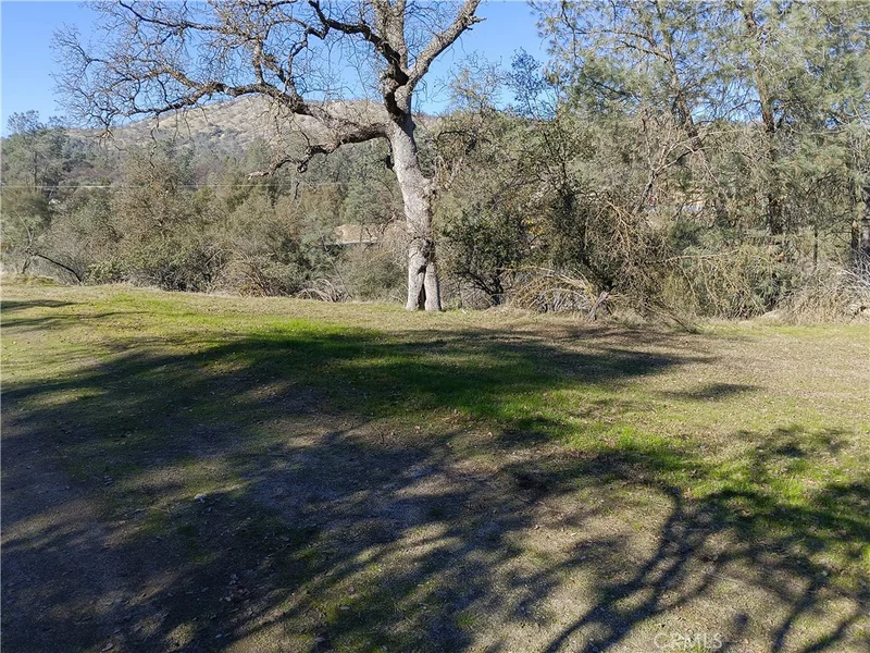 Photo 2 of 0 Lot 856 Deep Forest Drive