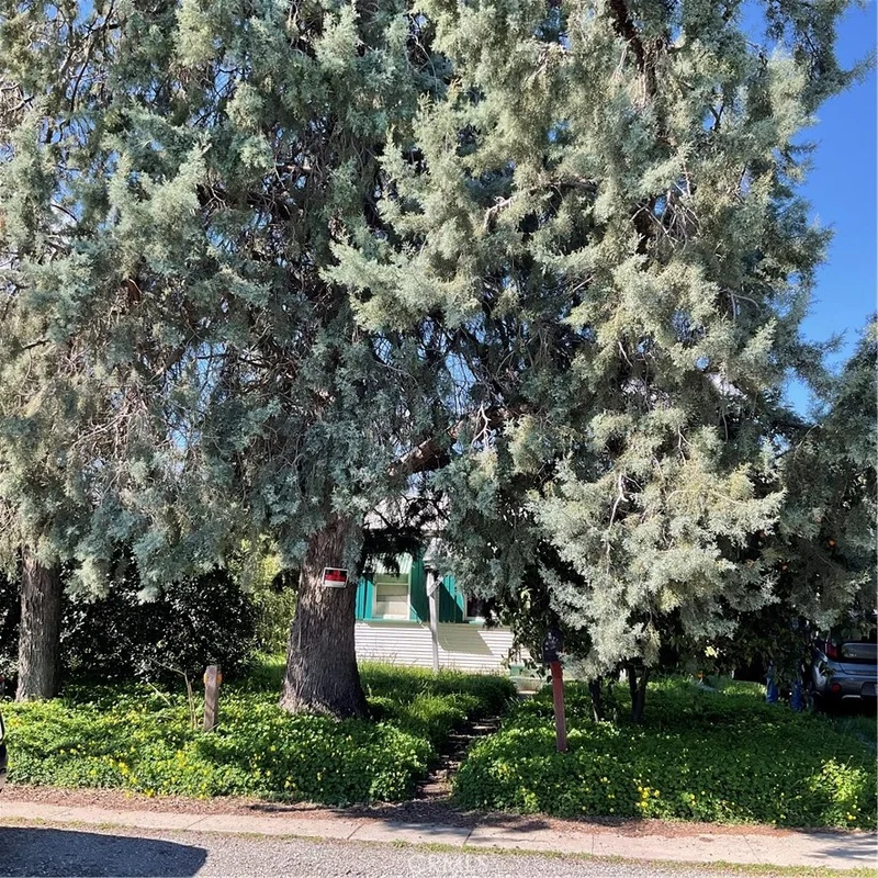 1020 5th Avenue, Corning, CA 96021