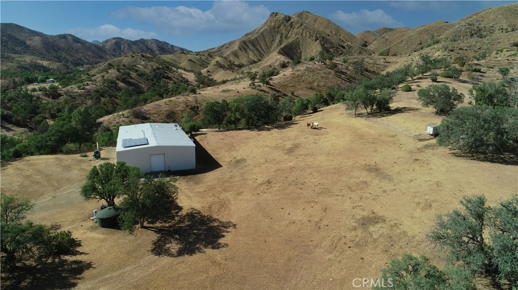 Main