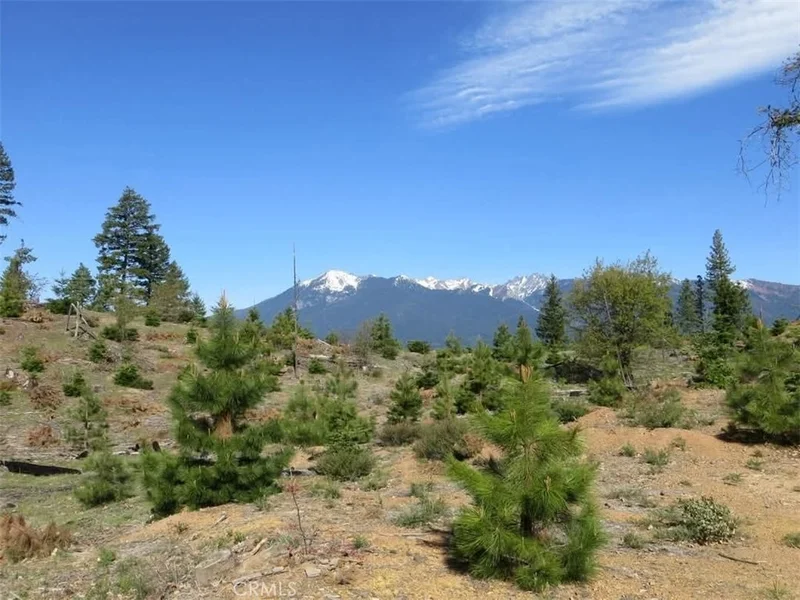 0 Bowerman Ridge Dr, Trinity Center, CA 96091