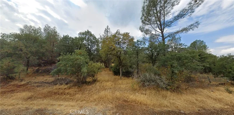 0 Wilson Hill Road, Shingletown, CA 96088
