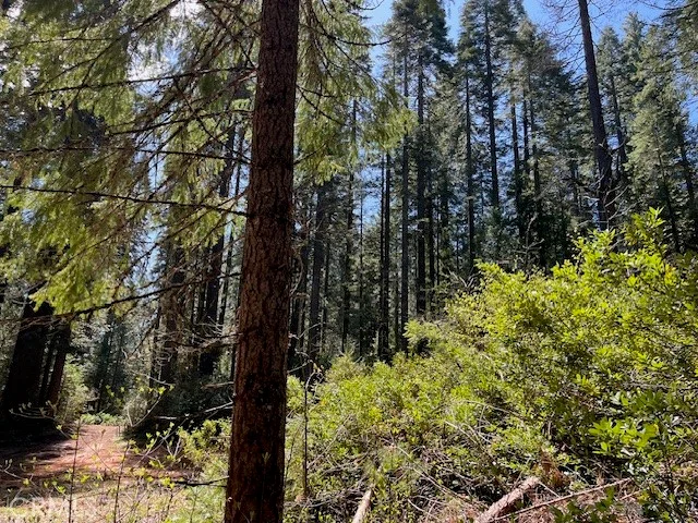 0 Juniper Lane, Strawberry Valley, CA 95981
