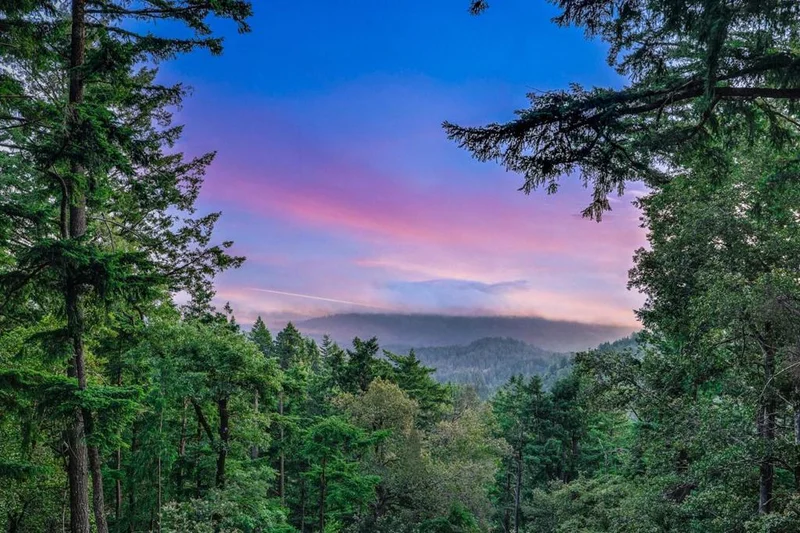 12338 First Fork Road, Los Gatos, CA 95033