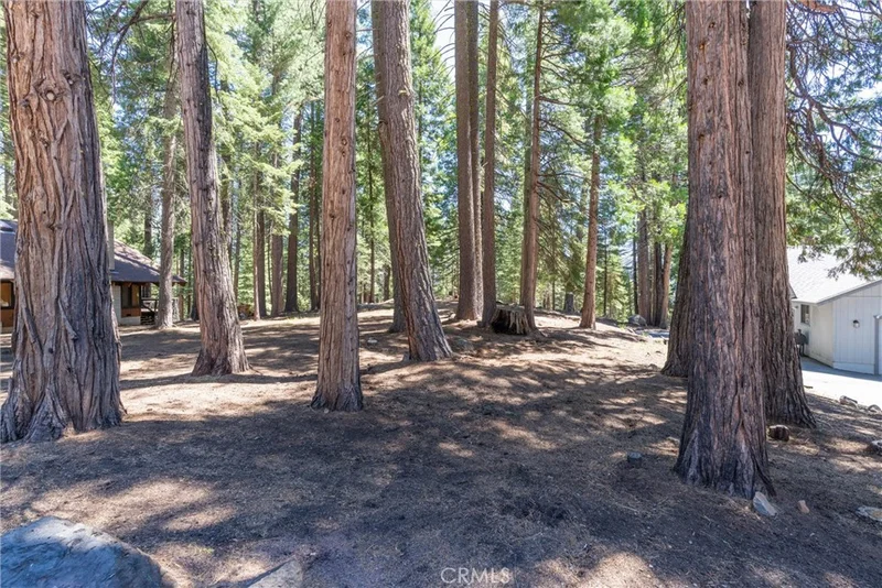 718 E Mountain Ridge Road, Westwood, CA 96137