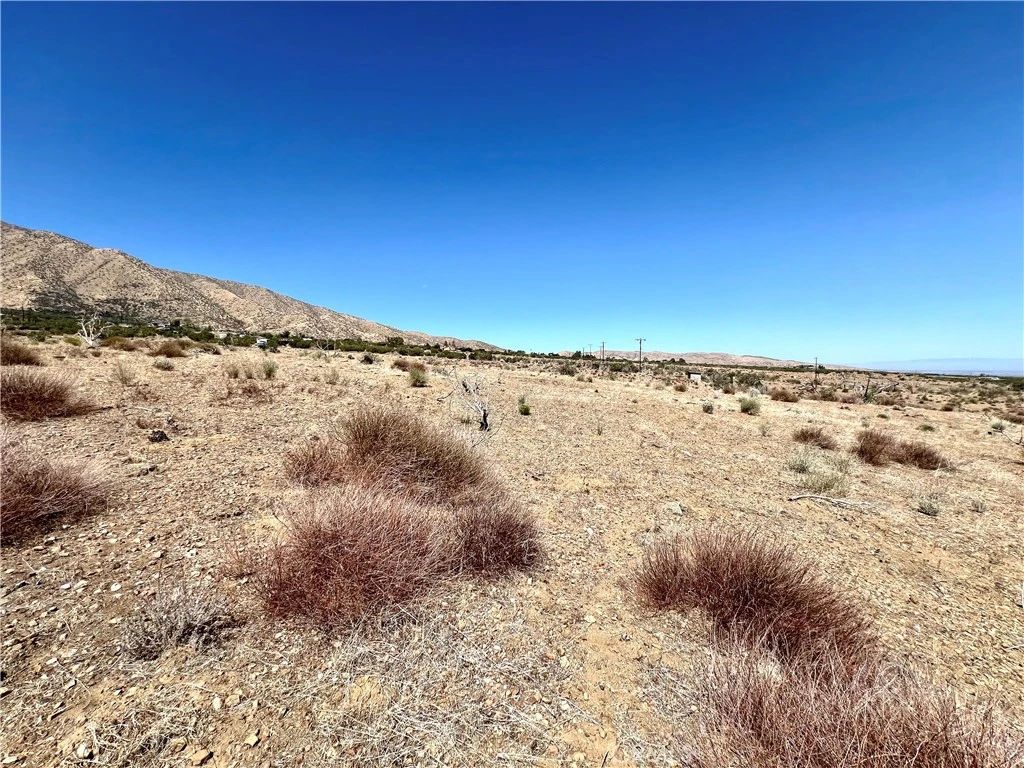Photo 8 of 113 Juniper Mesa Road