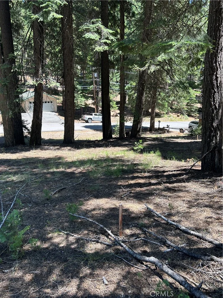Photo 2 of 631 Cedar Canyon Road