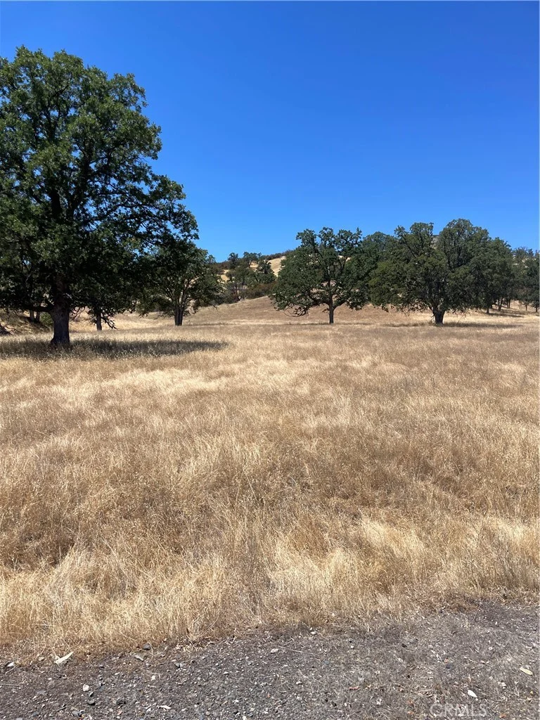 0 Ruby King Rd, Stonyford, CA 95979