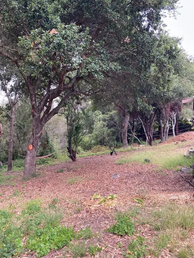 514 Meder Street photo 2