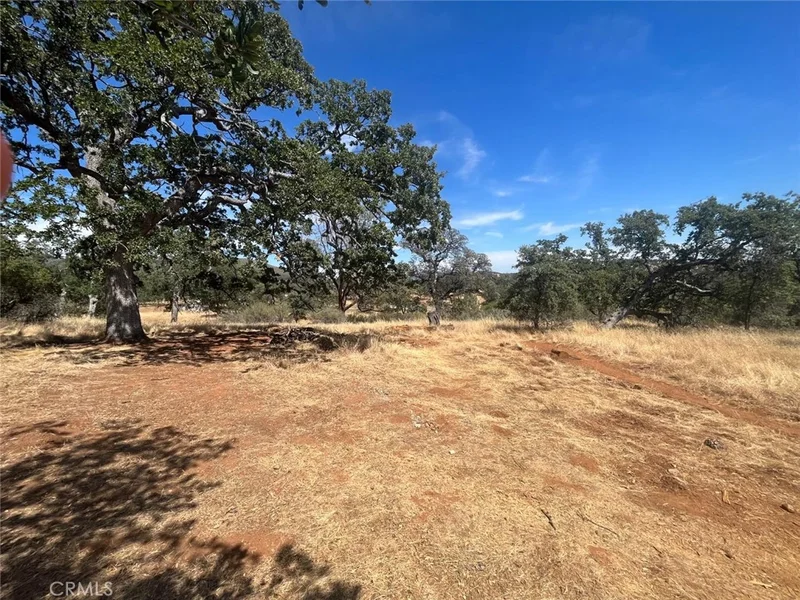 3301 Clavel Way, Coulterville, CA 95311