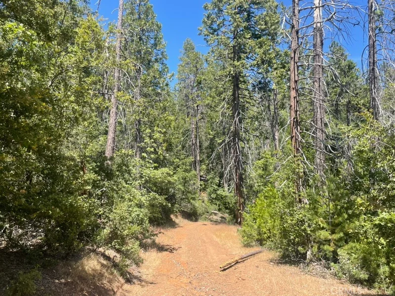 10 Wild Rose, Coulterville, CA 95311