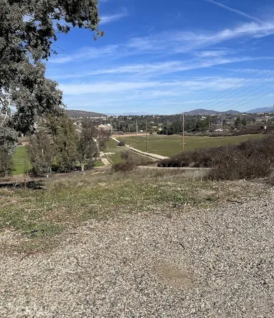 30925 Nicolas Road photo 2