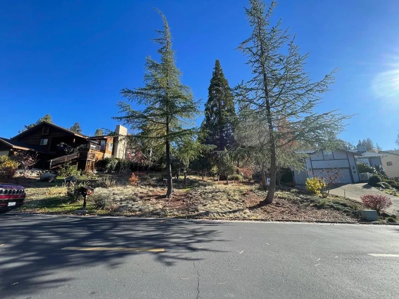 731 Dogwood Drive, Murphys, CA 95247