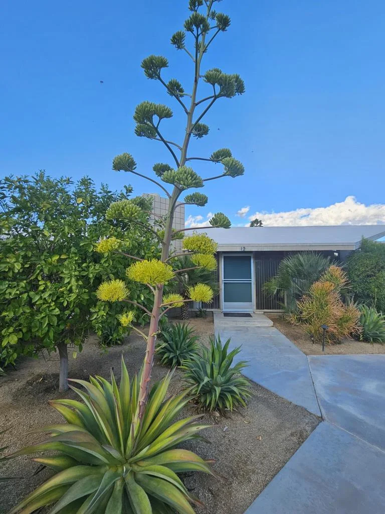 37800 Da Vall Drive 12 photo 2