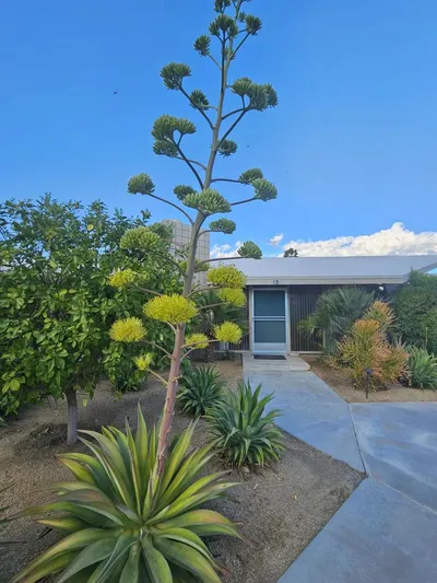 37800 Da Vall Drive 12 photo 2