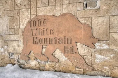 1004 White Mountain Drive photo 2