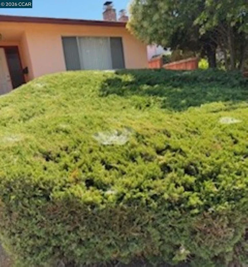 2633 Somerset, Castro Valley, CA 94546