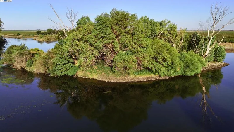 Goldrift Island, Byron, CA 94514
